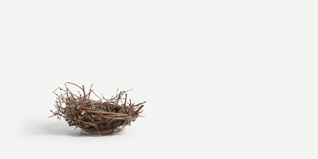 Catkin Nest XI