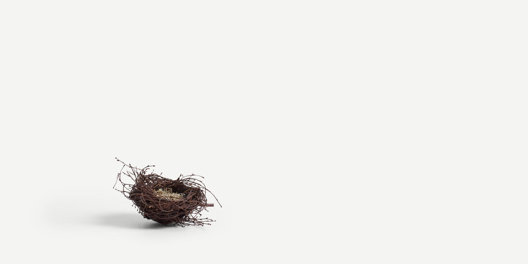 Birch Nest VII