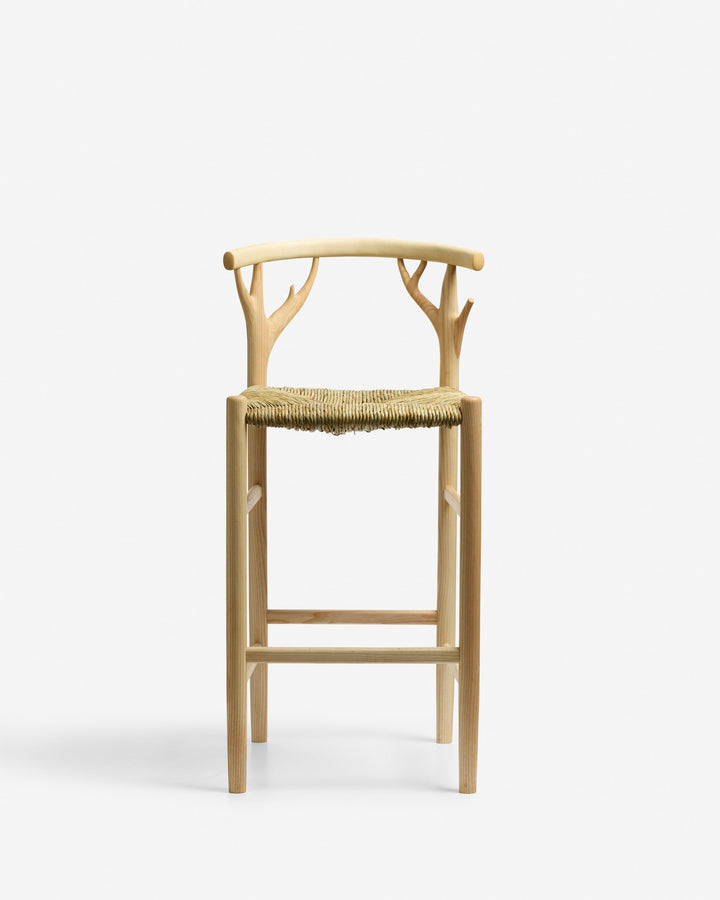 Canopy Barstool