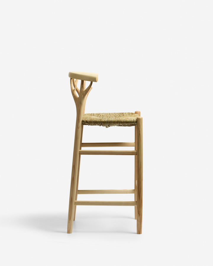 Canopy Barstool