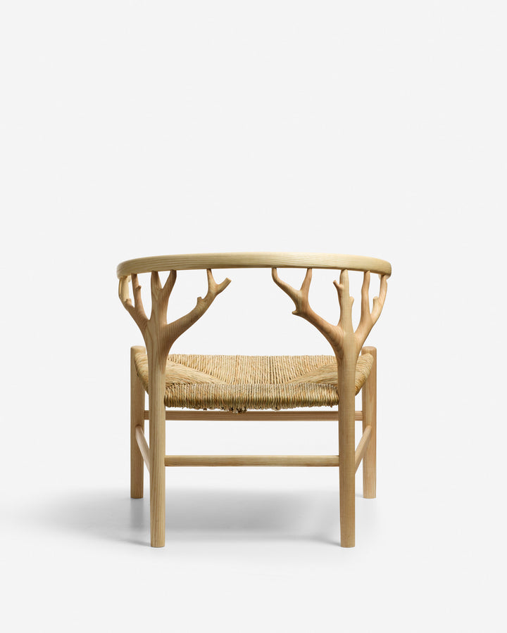 Canopy Lounge Chair