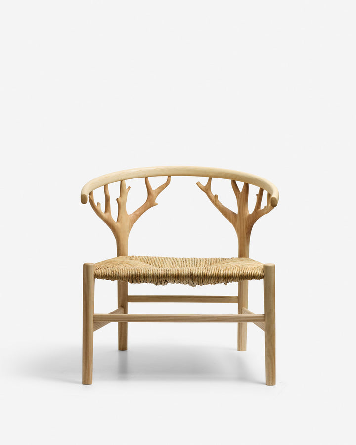 Canopy Lounge Chair