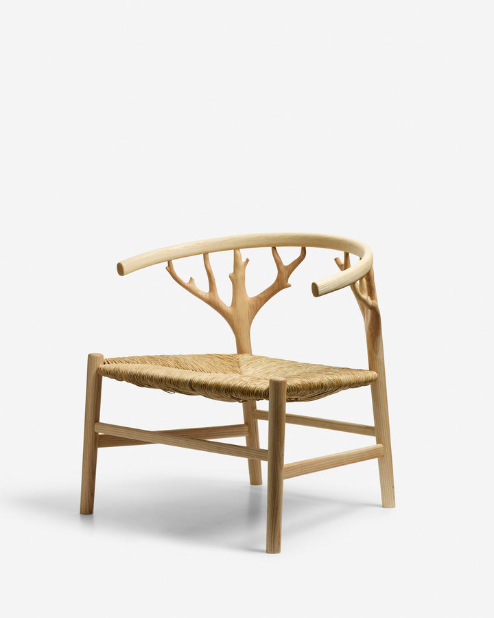 Canopy Lounge Chair