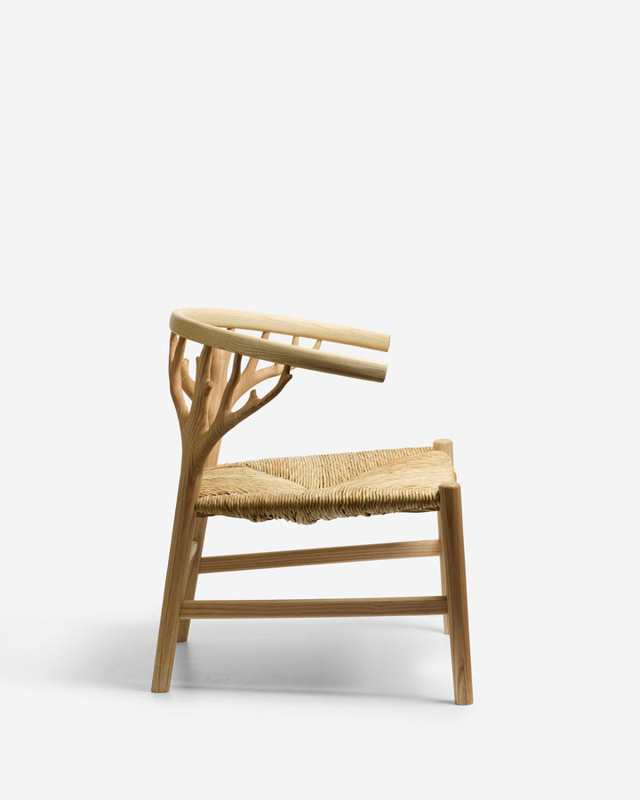 Canopy Lounge Chair
