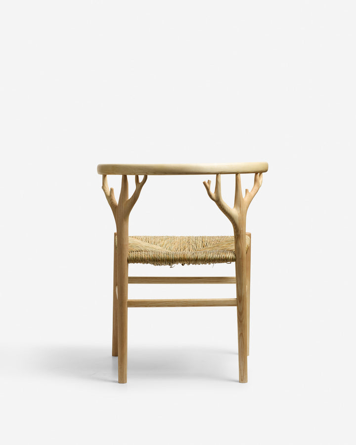 Canopy Armchair