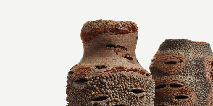 Banksia Vessels