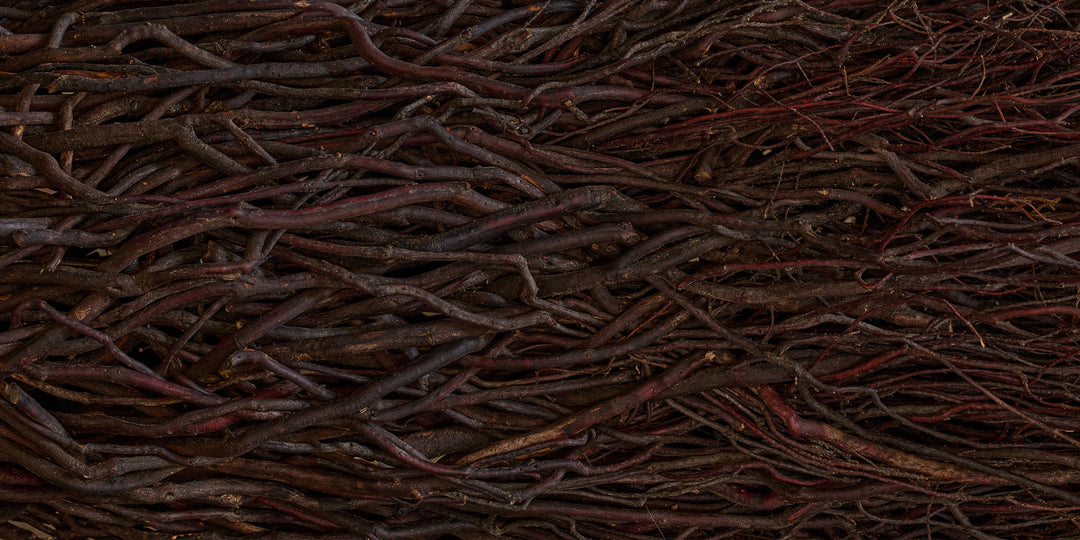 Droop - Pendant Light Large