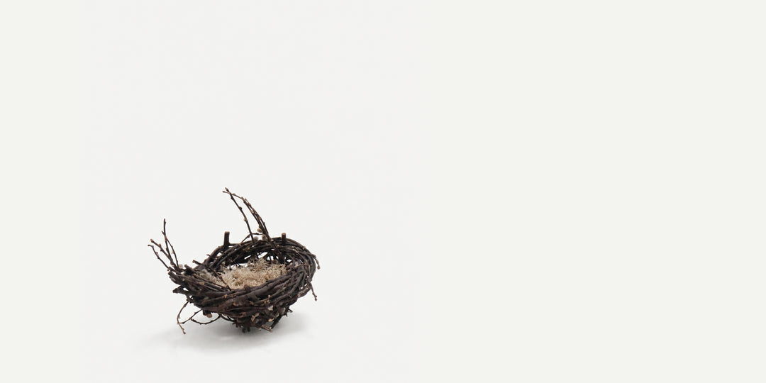 Large Catkin Nest of Wild Willow and Reindeer Moss