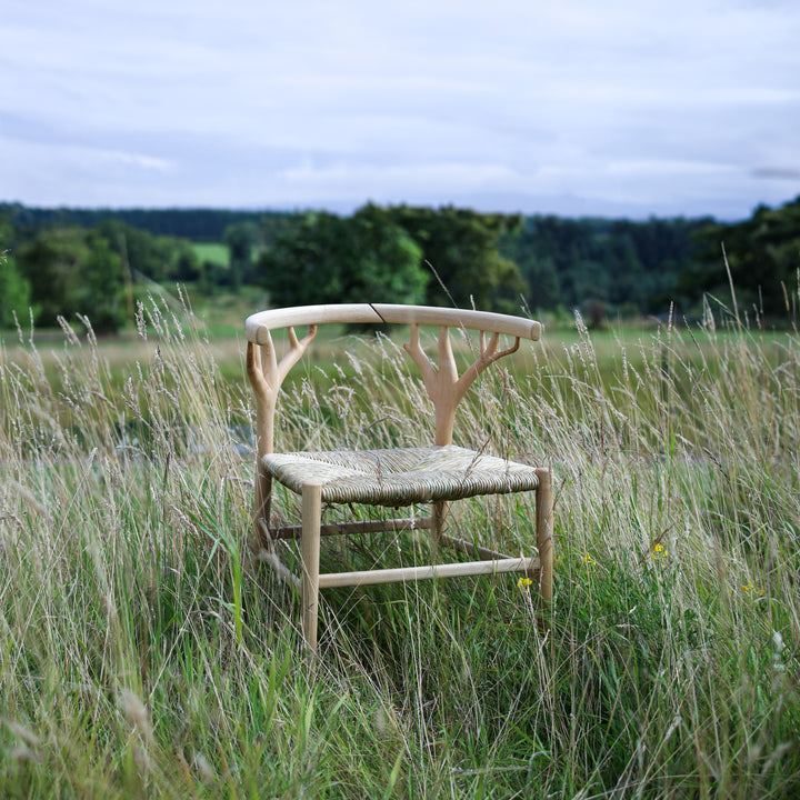 Canopy Armchair