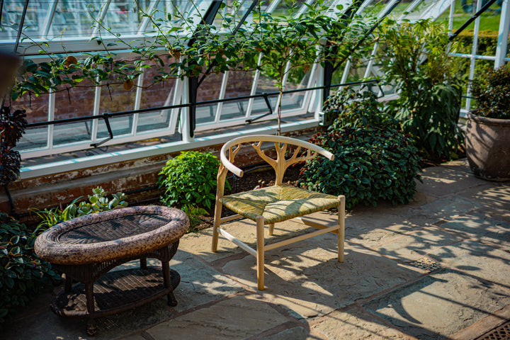 Canopy Armchair